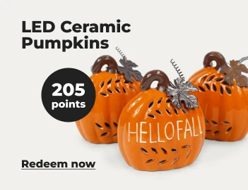 Redeem now: LED ceramic pumpkins with 205 points