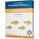 FREE* Ice Age DVD 2-pack when you buy 2 cartons of HammerMill&reg; Copy Plus&reg; multipurpose paper