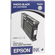 EPSON Ultrachrome Photo Black Ink Ctdg.