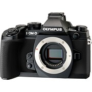 Olympus (r) BK 16.3MP Mirrorless Camera