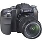 SLR Cameras