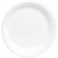 Foam Plates