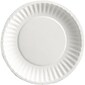 Paper Plates