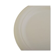 Southern Champion ChampWare Heavyweight Bagasse Plate, 7, White, 1,000/Carton (SCH18120)