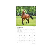2023-2024 Plato Magnificent Horses 12 x 12 Academic & Calendar Monthly Wall Calendar (978197546717