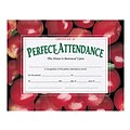 Hayes Certificate of Perfect Attendance, 8.5 x 11, 30 Certificates/Pack, 5 Packs (H-VA513)