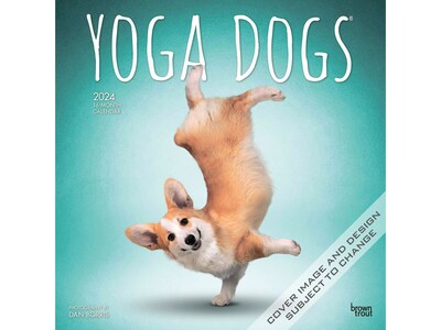 2024 BrownTrout Yoga Dogs 12 x 12 Monthly Wall Calendar (9781975467043)