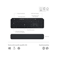 Logitech MX Keys S Wireless Ergonomic Keyboard and Optical Mouse Combo, Black (920-012274)