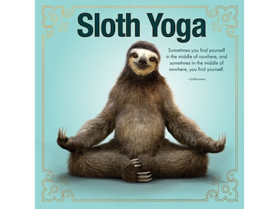 Sloth Yoga, Chapter Book, Hardcover (48314)