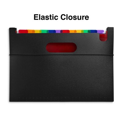 TRU RED Plastic Accordion File, 25-Pocket, Letter Size, Multicolor (TR45523)