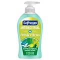 Softsoap Antibacterial Hand Soap, Fresh Citrus, 11.25 oz. Pump Bottle