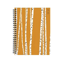 2024-2025 TF Publishing Elements Series Aspen Trees 6 x 8 Academic Weekly & Monthly Planner, Paper