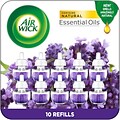Air Wick Essential Oils Scented Oil Refill, Lavender & Chamomile, 0.67 fl. oz., 10/Pack (01919)