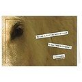 Medical Arts Press® Veterinary Greeting Cards; Horse,  Blank Inside