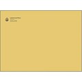 Custom-printed Catalog Envelopes; Brown 10x13 Gummed Closure, 500/Box