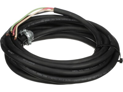 TPI Corporation Power Cord, Black (03164201)
