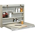 Drug -Stor® Narcotics Cabinet; Beige/Wood Laminate