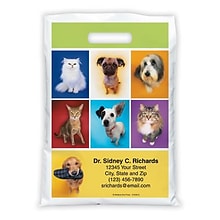 Medical Arts Press® Veterinary Personalized Full-Color Bags; 9x13, Dogs and Cats, 100 Bags, (41608)