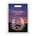 Medical Arts Press® Chiropractic Personalized Full-Color Bags; 9x13, Chiro Spine