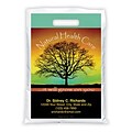 Medical Arts Press® Chiropractic Personalized Full-Color Bags; 9x13, Natural Health Care
