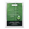 Medical Arts Press® Chiropractic Personalized Full-Color Bags; 9x13, Leaf, 100 Bags, (40329)