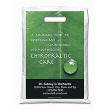 Medical Arts Press® Chiropractic Personalized Full-Color Bags; 9x13, Leaf, 100 Bags, (40329)