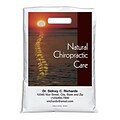 Medical Arts Press® Chiropractic Personalized Full-Color Bags; 9x13, Natl Chiro Care
