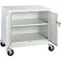 Sandusky® Steel Mobile Storage Cabinet; Assembled, 36Hx36Wx24D, Gray