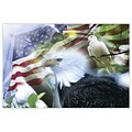 Medical Arts Press® Standard 4x6 Postcards; Flag-Eagle-Dove