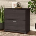 Bush Furniture Cabot Lateral File Cabinet, Heather Gray (WC31780)