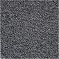 Crown® Dust-Star™ Wiper Entrance Mat; 4x10', Polypropylene, Charcoal
