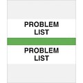 Lt. Green Chart Divider Tabs; Problem List