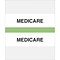Lt. Green Std. Chart Divider Tabs; Medicare