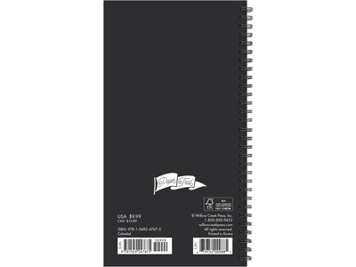 2024-2025 Willow Creek Celestial 3.5 x 6.5 Academic Weekly & Monthly Planner, Paper Cover, Black/G