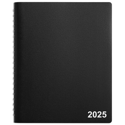 2025 Staples 8 x 11 Four-Person Daily Appointment Book, Black (ST58479-25)