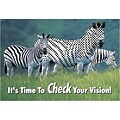 Medical Arts Press® Eye Care Standard 4x6 Postcards; Zebra/Check Vision