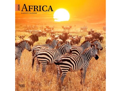2024 BrownTrout Africa 12 x 12 Monthly Wall Calendar (9781975467357)