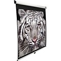 Elite 99 Diagonal, View 70 x 70 Pull-Down Projector Screen