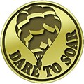 Recognition Lapel Pins; Dare to Soar