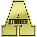 Recognition Lapel Pins; Attitude