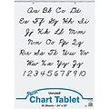 Pacon® Unruled Chart Pads