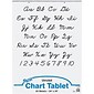 Pacon® Chart Pads; Unruled