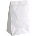 Hygloss Craft Bags; White, 100/Pack
