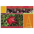 Medical Arts Press® Standard 4x6 Postcards; Autumn Scene