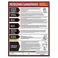 ComplyRight™ Lifesaving Posters; Bloodborne Pathogens, Spanish Version