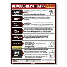 ComplyRight™ Lifesaving Posters; Bloodborne Pathogens, English Version