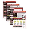 ComplyRight™ Lifesaving Posters; Poster Set, Spanish Version