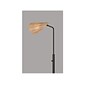 Adesso Cove 58" Metal Floor Lamp with Irregular Shade (5113-01)