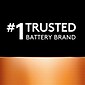 Duracell AAAA Alkaline Battery, 2/Pack (DURMX2500B2PK)