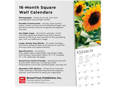 2024 BrownTrout Sunflowers 12" x 12" Monthly Wall Calendar (9781975465223)